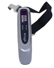 Portable electronic scale