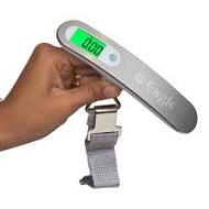 Portable electronic scale