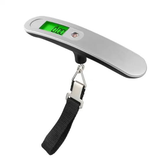 Portable electronic scale